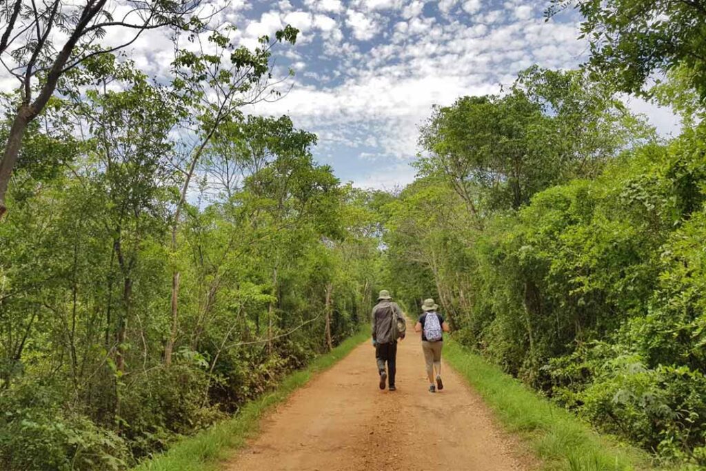 En contexto Reserva Cuxtal