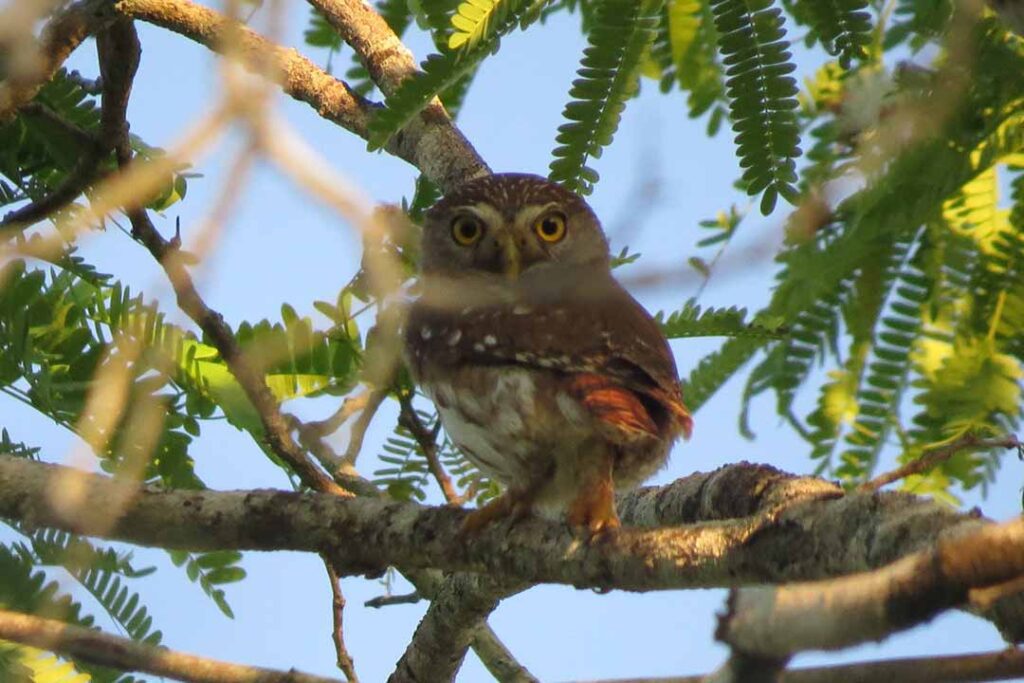 Reserva Ecológica Cuxtal