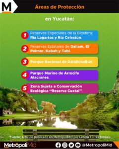 INFOGRAFÍA ÁREAS DE PROTECCIÓN EN YUCATÁN
