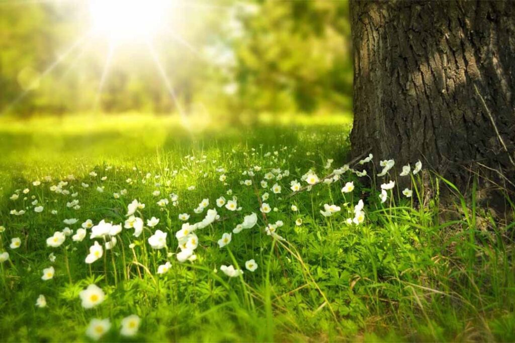 Naturaleza