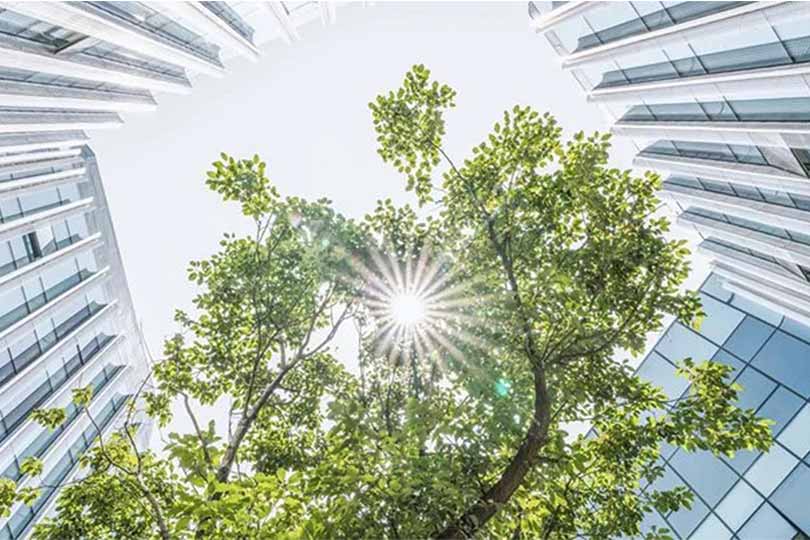 ¿Por qué debe descarbonizarse la construcción?