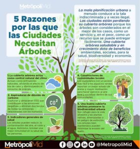 233 5 Razones por las que las ciudades necesitan árboles