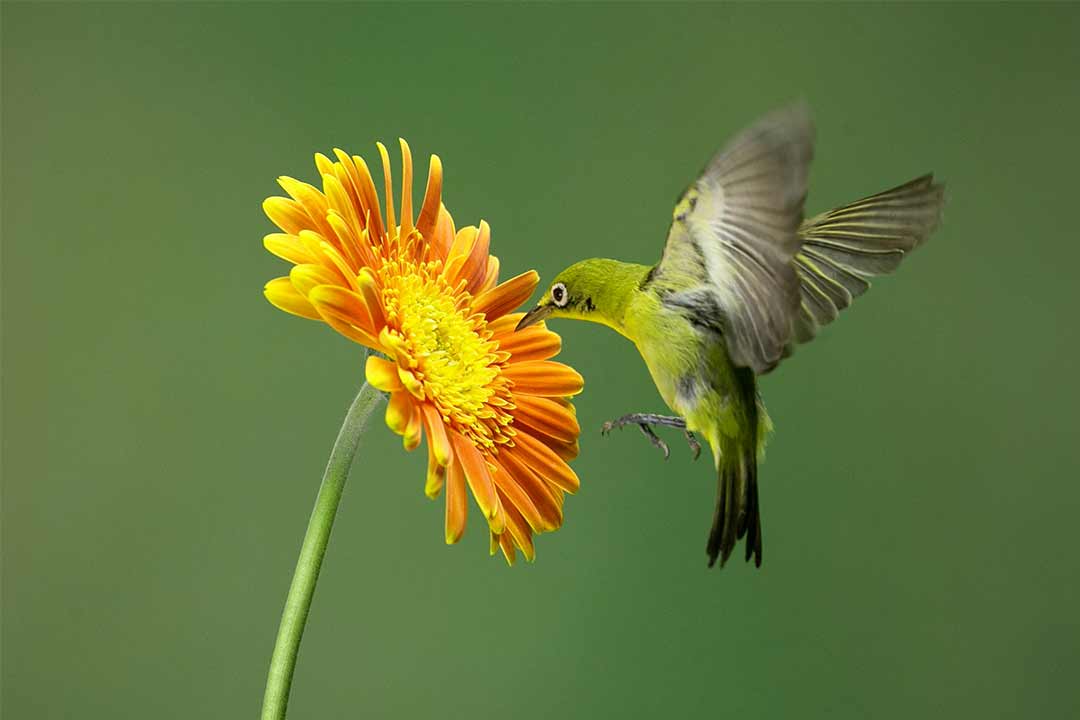 Entre lo físico y lo simbólico: ¿qué es el hábitat humano?