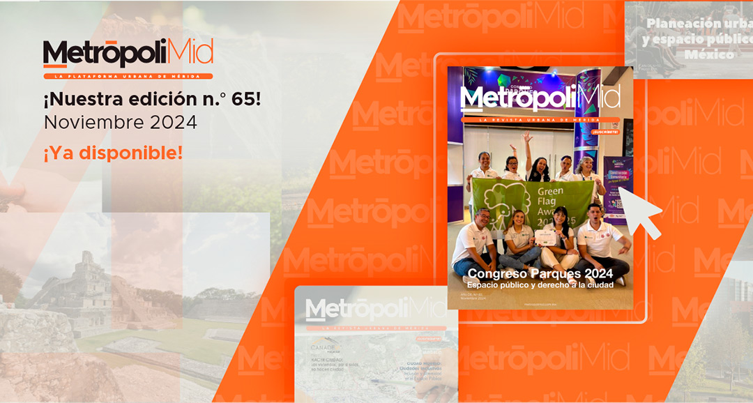 ¡Nuestra edición n.° 65! Noviembre 2024