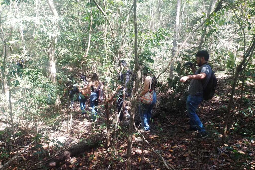 El bejuco: patrimonio natural