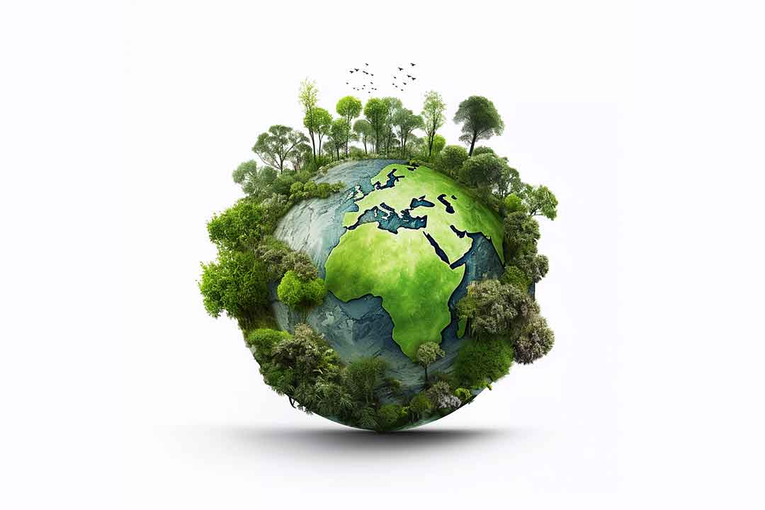 Día Mundial del Medio Ambiente: una oportunidad para reflexionar… y actuar