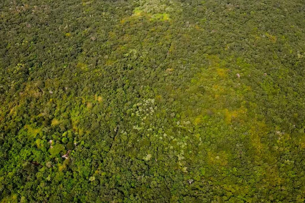 La Reserva Ecológica Cuxtal