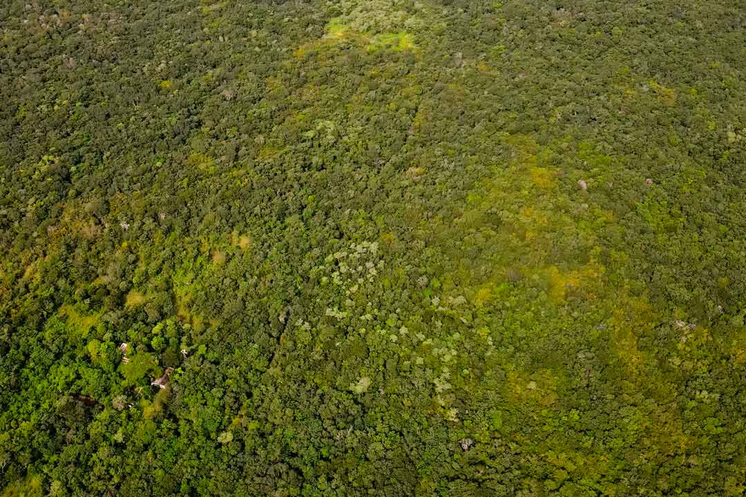 La Reserva Ecológica Cuxtal