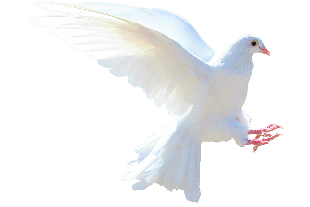 Infraestructuras de paz y transformación social en América Latina