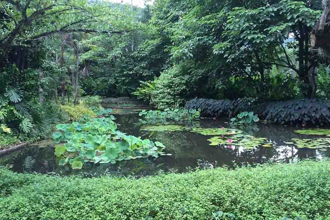 Sitio Roberto Burle Marx Río de Janeiro, Brasil