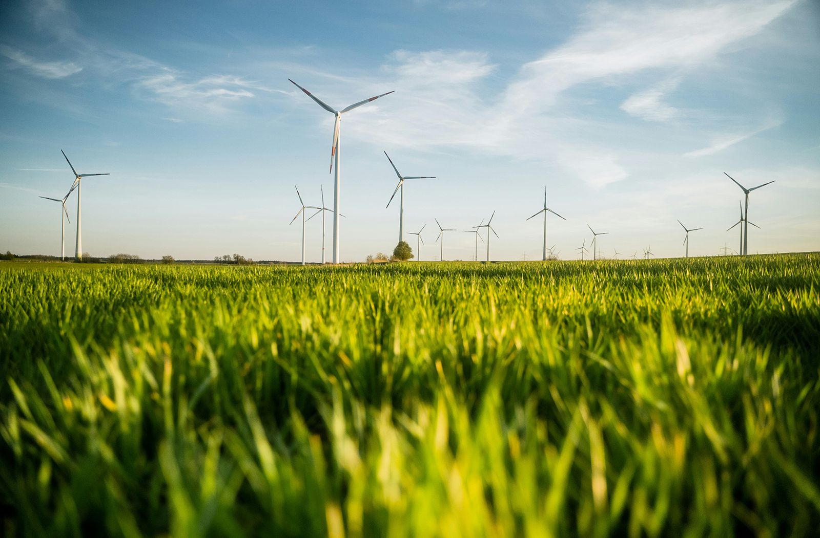 Gobiernos subnacionales y transición energética, construir lo posible.