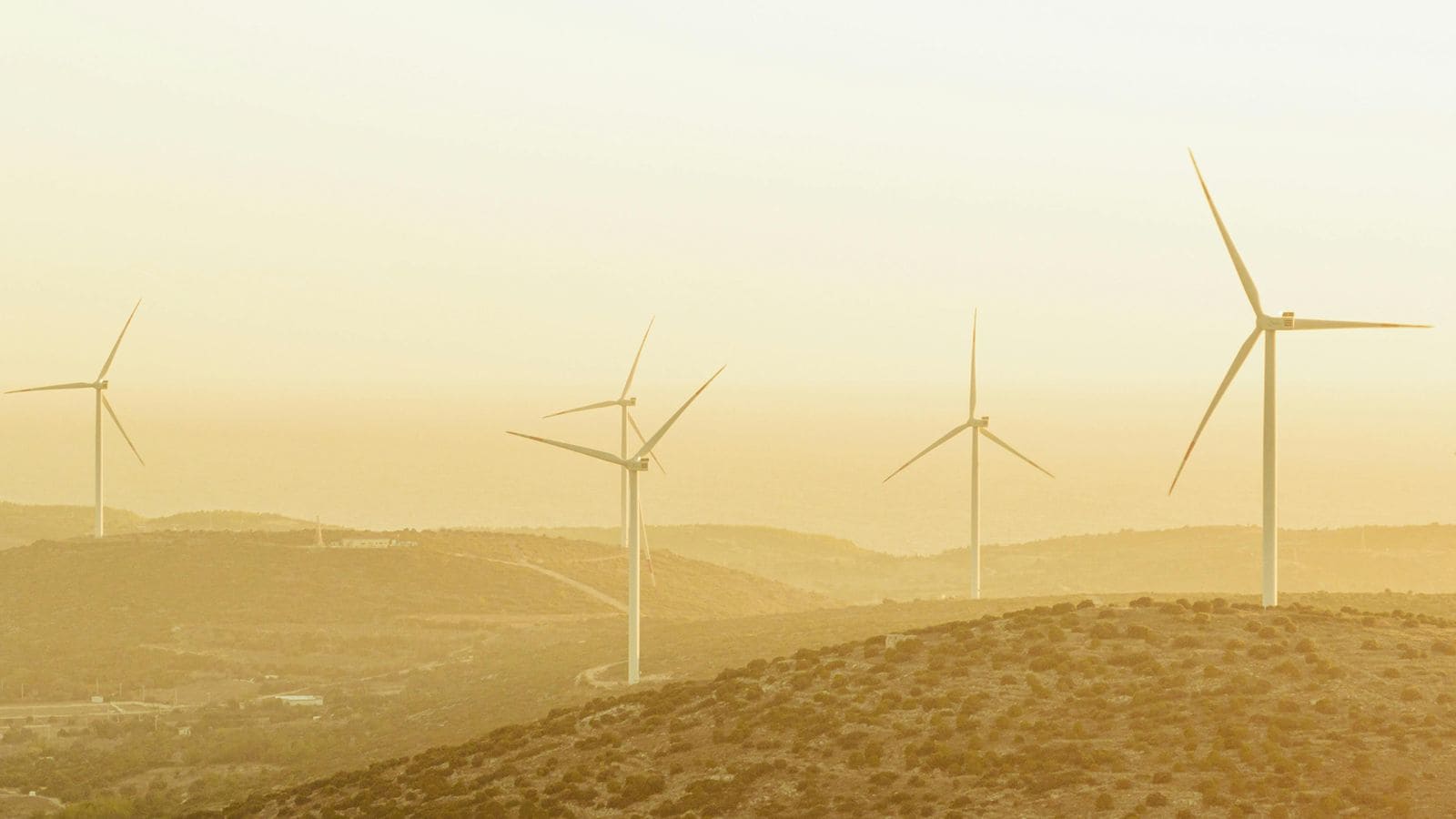 Algoritmos energéticos. La inteligencia artificial reconfigura el futuro.