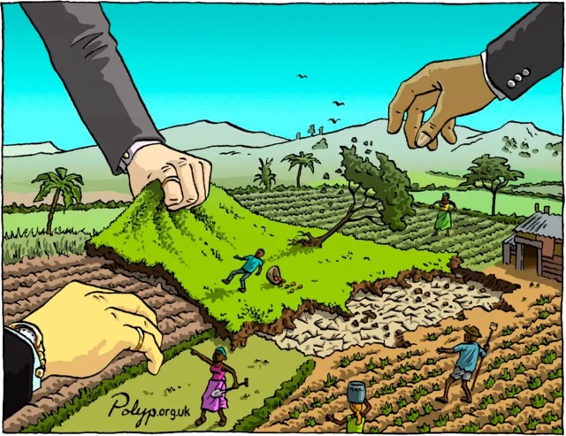 Yucatán: el estado despojado– Acumulación por desposesión y la complicidad que (re)dibuja el territorio
