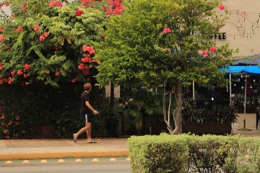 Hombre caminando en una banqueta ubicada en Paseo de Montejo, Mérida, Yucatán, México