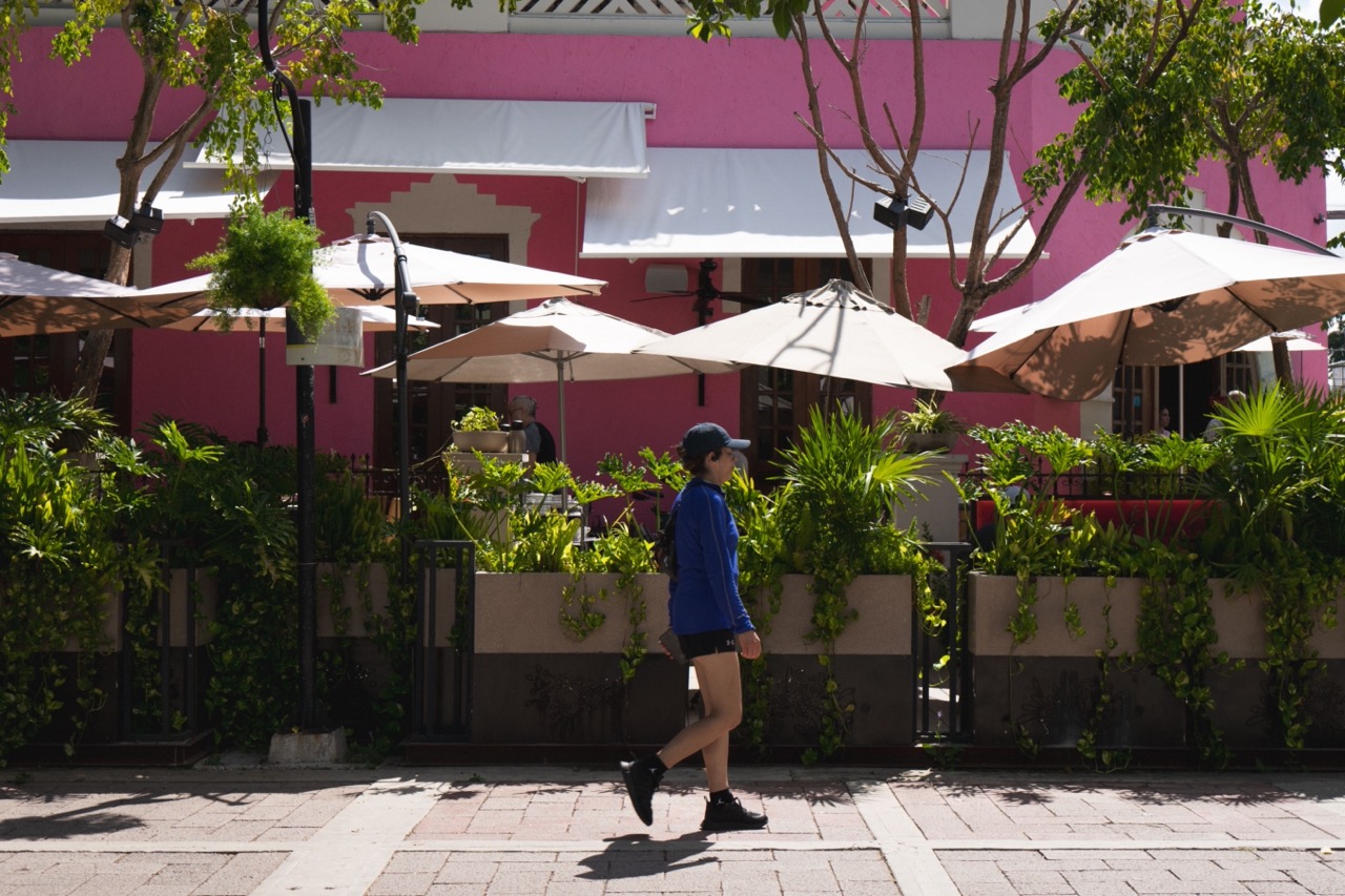 Paseo de Montejo: una oportunidad para devolverle la vida