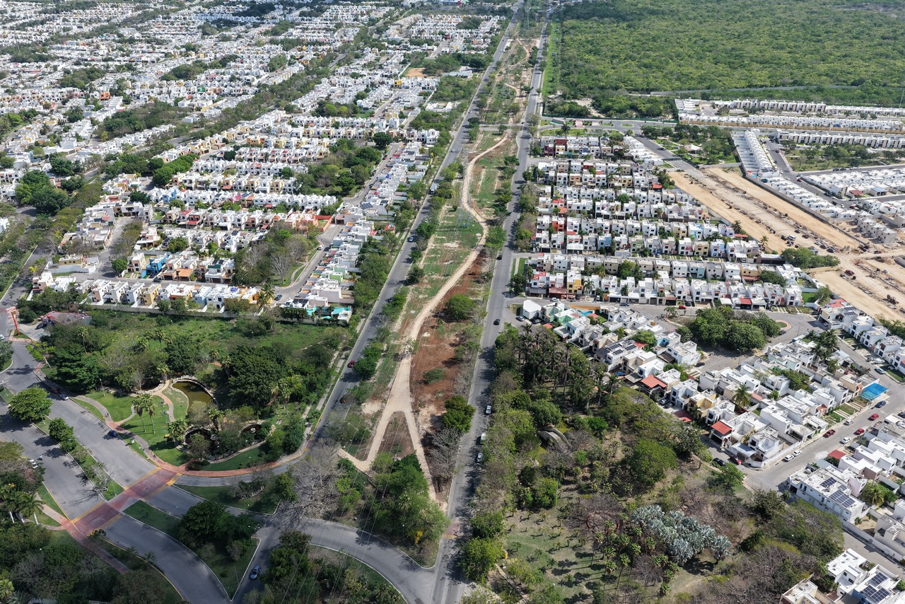 Corredores Verdes: una estrategia para una ciudad más habitable